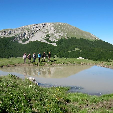 B&B Sole Del Pollino Rotonda Buitenkant foto