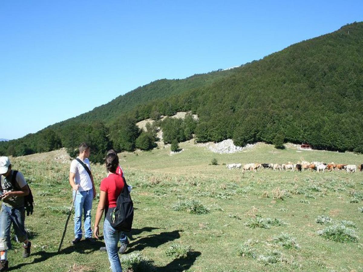 B&B Sole Del Pollino Rotonda Buitenkant foto